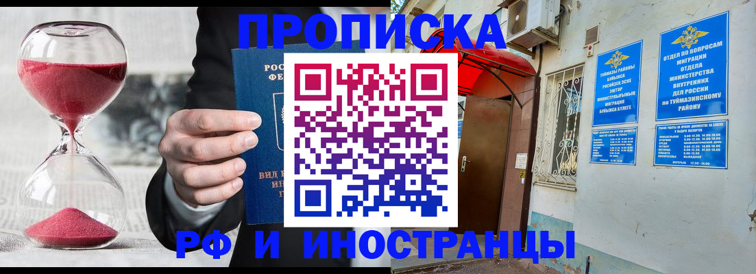 прописка 2025 в Котово